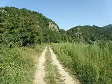 Chemin longeant la Loire au Chambonnet