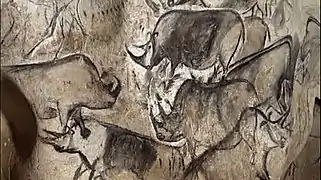 Rhinocéros laineux, grotte Chauvet, 36 000 ans, France