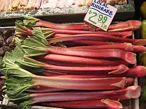 Le pétiole de la rhubarbe peut atteindre 80 cm.