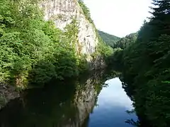 Les gorges de la Rhue au pont des Faux Monnayeurs.