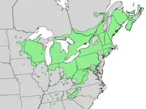 Description de l'image Rhus typhina range map 4.png.