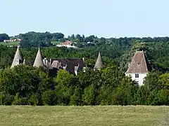 Les toits du château.