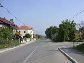 Ribare (Kruševac)