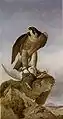 Falcon with a Ptarmigan (1868)