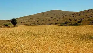 La causse Méjean , Lozère