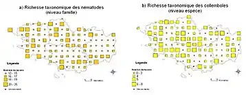 richesse taxonomique dans RMQS Biodiv