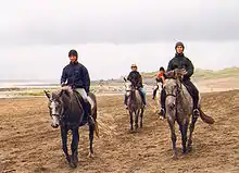 Un groupe de cavaliers habillés de parkas et leurs poneys gris marchent au pas sur une plage.