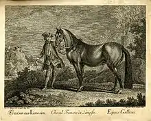 Un jeune homme tient un cheval à la robe foncée par les rênes; on aperçoit en arrière plan du paysage, à gauche, des maisons.
