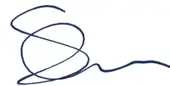 signature de Simon Rieber