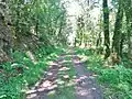 La chaussée de l'ancienne ligne ferroviaire allant de Quimperlé à Concarneau dans la vallée du Guily ; désormais c'est un sentier de randonnée.