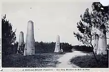 Les cinq "menhirs" édifiés au Bois de pins lors du Congrès panceltique de 1927 (carte postale).