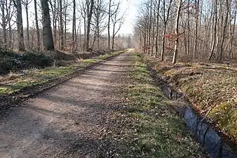 Allée et rigole sur la droite.