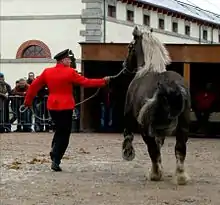 Homme habillé en rouge et noir et tenant un cheval