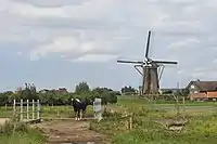 Rijpwetering, le moulin: Lijkermolen no1