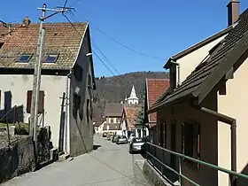 Rimbachzell