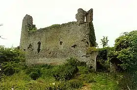 Image illustrative de l’article Château de Rindown