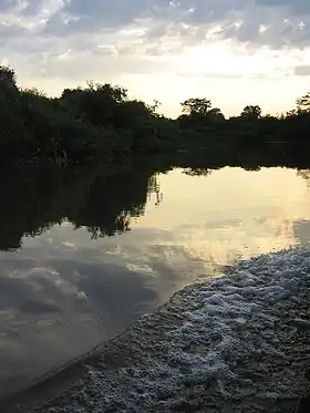 Miranda (Mato Grosso do Sul)