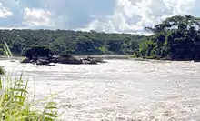 Vue de la rivière à Porto Velho