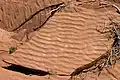 Rides de vague préservées dans un grès triasique (Parc national de Capitol Reef aux États-Unis.)