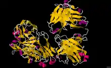 Image illustrative de l’article Rituximab