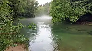 Fleuve Llobregat au del Pla del Rovello (Via Verda del Llobregat, Cercs, Barcelona)