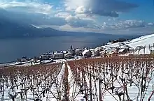 Village de Rivaz et ses vignes, Vaud, Suisse.