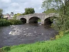 L'Erne à Belturbet.