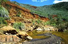 Paysage de maquis minier dans le Grand Sud de la Grande Terre