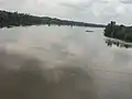 Rive de bonabéri sur le wouri