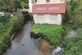 La Fure, et son affluent le Réaumont (à droite) au niveau du quartier le Bas-Rives.