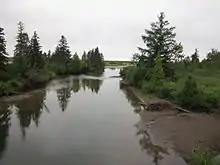 Un chenal avec de la forêt sur les rives.