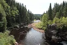Rivière Montmorency à la Forêt Montmorency