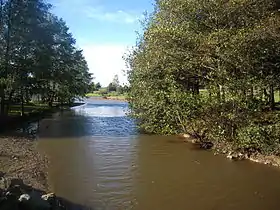 Rivière Pérouse se jetant dans l'étang