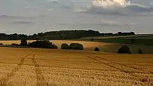 Paysage environnant, en été.