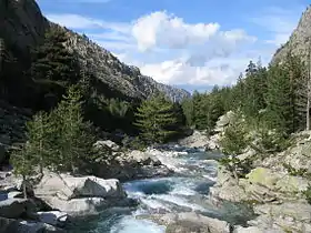 Les gorges et la rivière de la Restonica en Haute-Corse