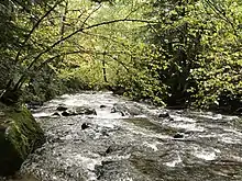 Le fleuve Dordogne à la Bourboule.