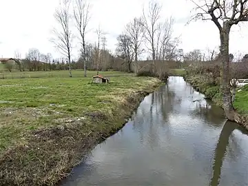 La Rizonne au pont de la RD 5, au lieu-dit le Pont de la Rizonne, entre Saint Aulaye-Puymangou, à gauche et Saint Privat en Périgord.