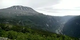 Comté de Telemark