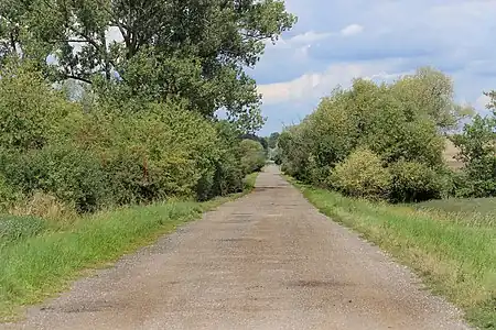 Route entre Běchárky et Běchary.