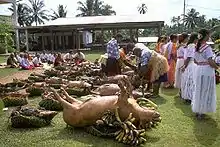 Vue d'ensemble d'un katoaga, avec les offrandes (cochons plus ou moins gros disposés sur des paniers) et des participant, certains assis, d'autres disposant les offrandes.