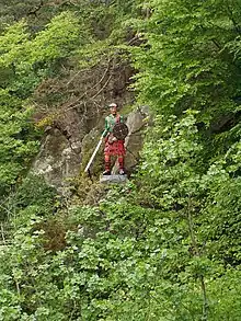 statue colorée, à flanc de montagne, dans la verdure