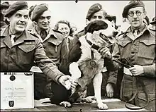 Un chien recevant une médaille entouré par des hommes en uniforme militaire