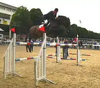 Sur la carrière de détente d'un concours officiel, un cavalier et son cheval bai foncé franchissent un gros oxer.