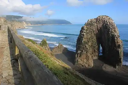 Les formations rocheuses sur la cote près de Constitución