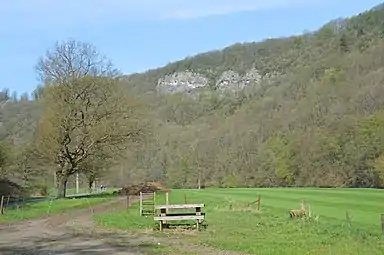 Vue des falaises calcaires de la Roche-aux-faucons prise depuis la vallée de l'Ourthe