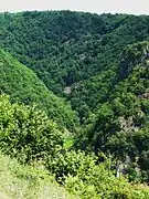 Les gorges de la Diège juste avant sa confluence avec la Dordogne.