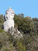 Roche de calcaire dolomitique.