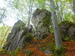 Ensemble formé par la Roche sanglante à Rouvreux