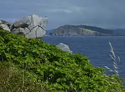 Rocher, figuier et île Coelleira depuis Porto de Bares