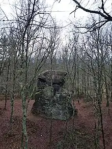 Rocher dans une forêt, par temps hivernal